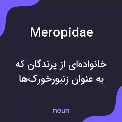 معنی meropidae به فارسی معنی meropidae به فارسی