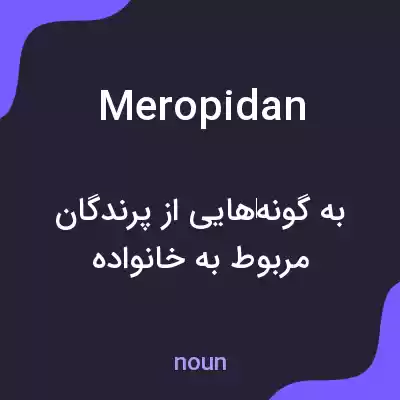 معنی meropidan به فارسی معنی meropidan به فارسی