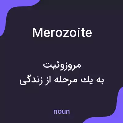 معنی merozoite به فارسی معنی merozoite به فارسی