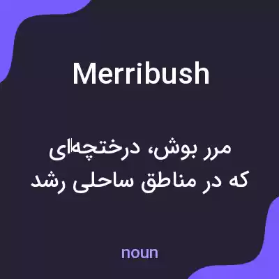 معنی merribush به فارسی معنی merribush به فارسی