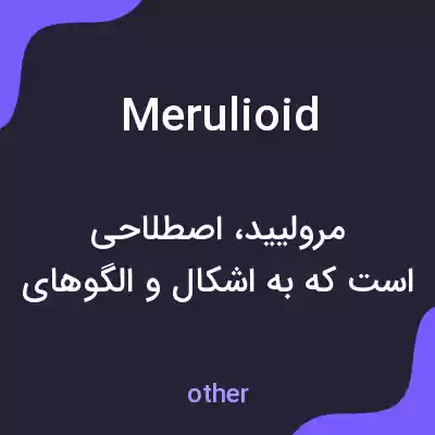 معنی merulioid به فارسی معنی merulioid به فارسی