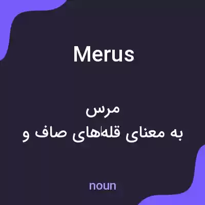 معنی merus به فارسی معنی merus به فارسی