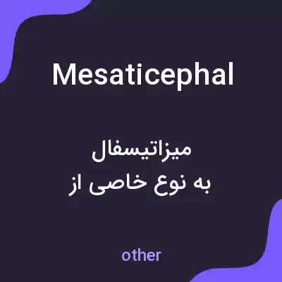 معنی mesaticephal به فارسی معنی mesaticephal به فارسی