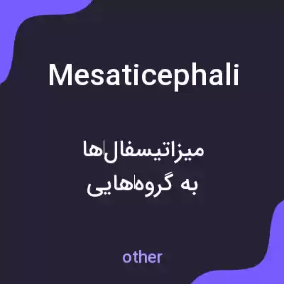 معنی mesaticephali به فارسی معنی mesaticephali به فارسی