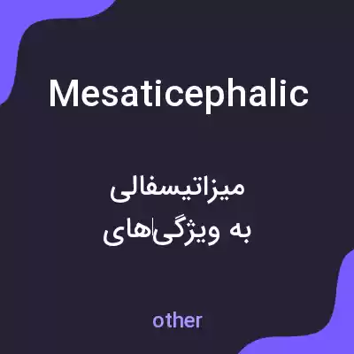 معنی mesaticephalic به فارسی معنی mesaticephalic به فارسی