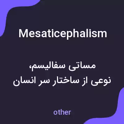 معنی mesaticephalism به فارسی معنی mesaticephalism به فارسی