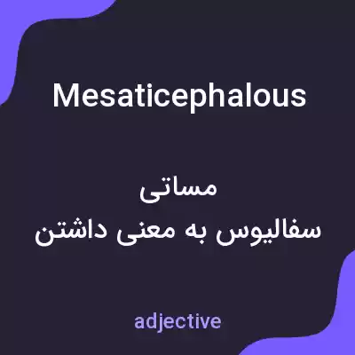 معنی mesaticephalous به فارسی معنی mesaticephalous به فارسی