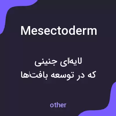 معنی mesectoderm به فارسی معنی mesectoderm به فارسی