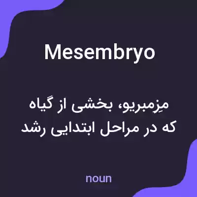 معنی mesembryo به فارسی معنی mesembryo به فارسی