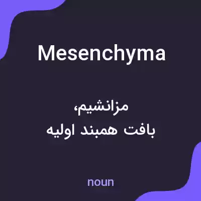 معنی mesenchyma به فارسی معنی mesenchyma به فارسی