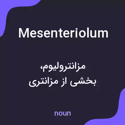 معنی mesenteriolum به فارسی معنی mesenteriolum به فارسی