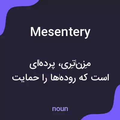 معنی mesentery به فارسی معنی mesentery به فارسی