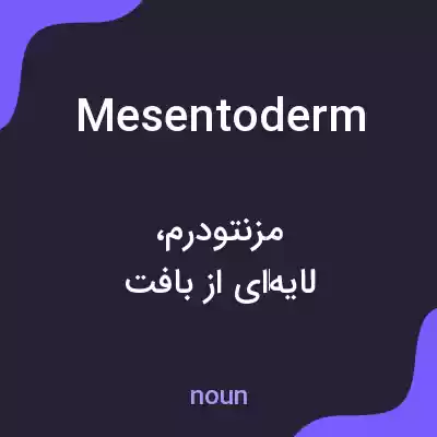 معنی mesentoderm به فارسی معنی mesentoderm به فارسی