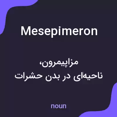 معنی mesepimeron به فارسی معنی mesepimeron به فارسی