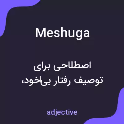 معنی meshuga به فارسی معنی meshuga به فارسی