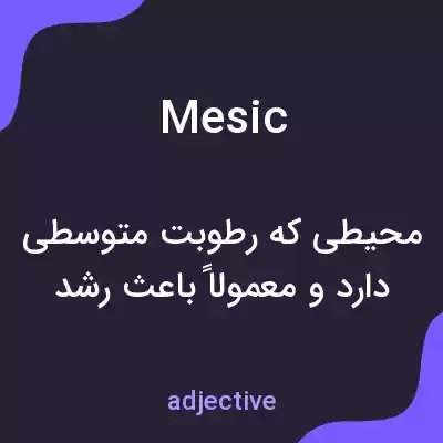 معنی mesic به فارسی معنی mesic به فارسی