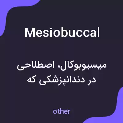 معنی mesiobuccal به فارسی معنی mesiobuccal به فارسی