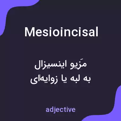 معنی mesioincisal به فارسی معنی mesioincisal به فارسی