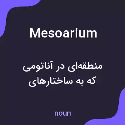 معنی mesoarium به فارسی معنی mesoarium به فارسی