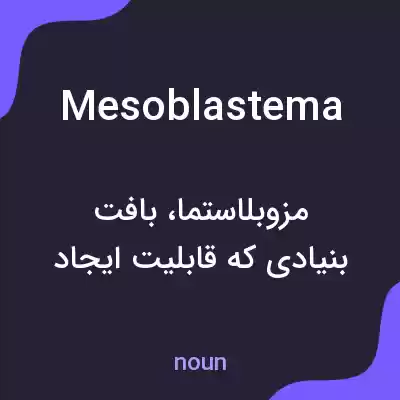 معنی mesoblastema به فارسی معنی mesoblastema به فارسی