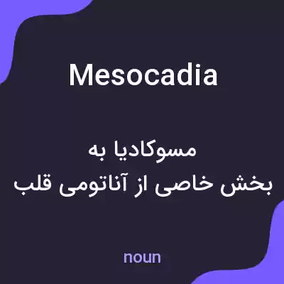 معنی mesocadia به فارسی معنی mesocadia به فارسی