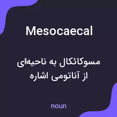 معنی mesocaecal به فارسی معنی mesocaecal به فارسی