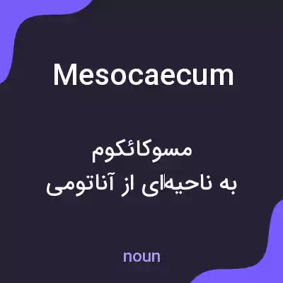 معنی mesocaecum به فارسی معنی mesocaecum به فارسی