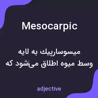 معنی mesocarpic به فارسی معنی mesocarpic به فارسی