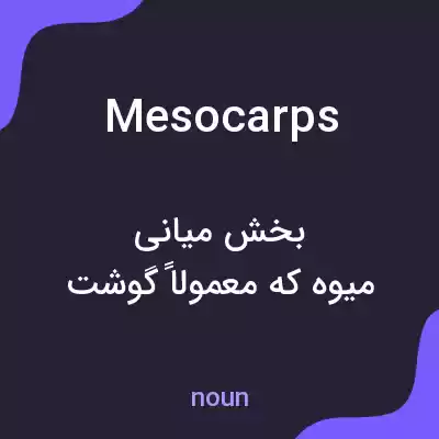 معنی mesocarps به فارسی