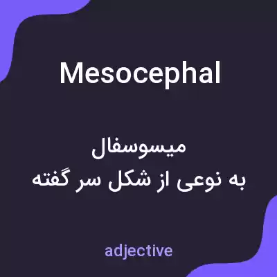 معنی mesocephal به فارسی معنی mesocephal به فارسی