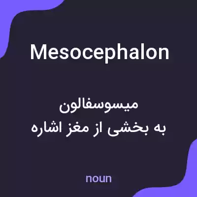 معنی mesocephalon به فارسی معنی mesocephalon به فارسی