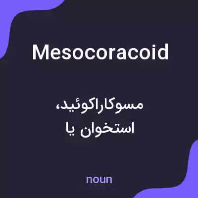 معنی mesocoracoid به فارسی معنی mesocoracoid به فارسی