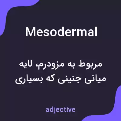 معنی mesodermal به فارسی معنی mesodermal به فارسی