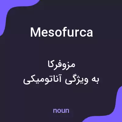 معنی mesofurca به فارسی معنی mesofurca به فارسی