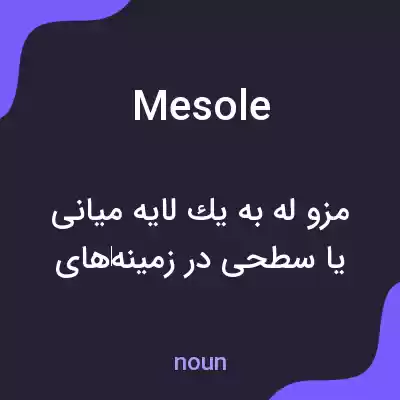 معنی mesole به فارسی معنی mesole به فارسی