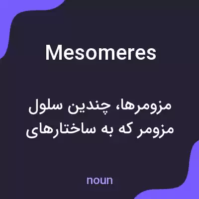 معنی mesomeres به فارسی معنی mesomeres به فارسی