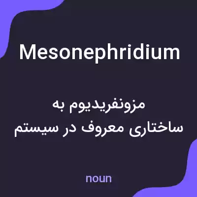 معنی mesonephridium به فارسی