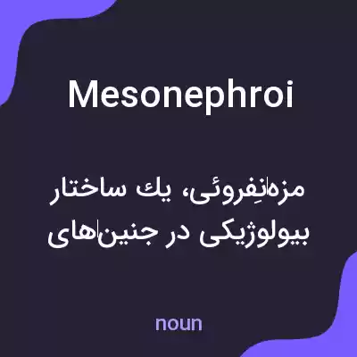 معنی mesonephroi به فارسی معنی mesonephroi به فارسی