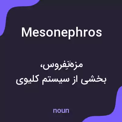 معنی mesonephros به فارسی معنی mesonephros به فارسی