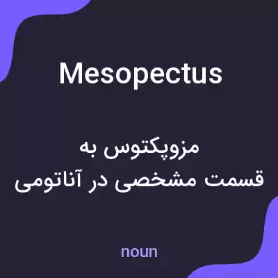 معنی mesopectus به فارسی معنی mesopectus به فارسی
