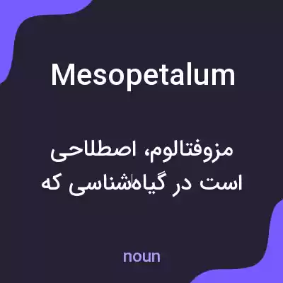 معنی mesopetalum به فارسی معنی mesopetalum به فارسی