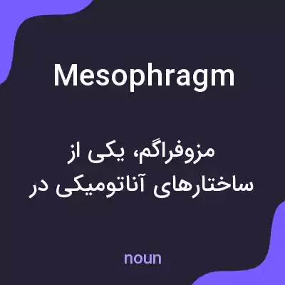 معنی mesophragm به فارسی معنی mesophragm به فارسی