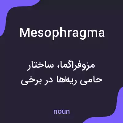 معنی mesophragma به فارسی معنی mesophragma به فارسی
