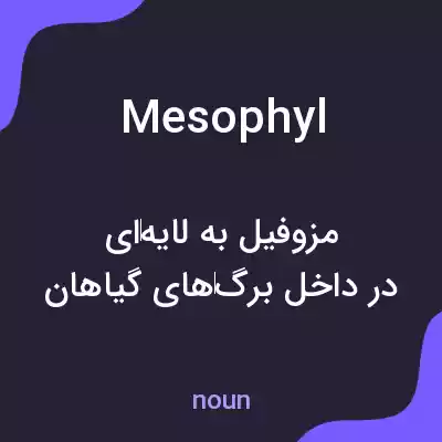 معنی mesophyl به فارسی معنی mesophyl به فارسی