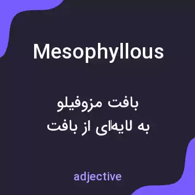 معنی mesophyllous به فارسی معنی mesophyllous به فارسی