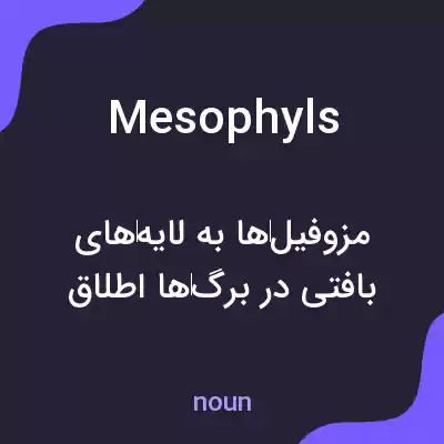 معنی mesophyls به فارسی معنی mesophyls به فارسی