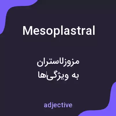 معنی mesoplastral به فارسی معنی mesoplastral به فارسی
