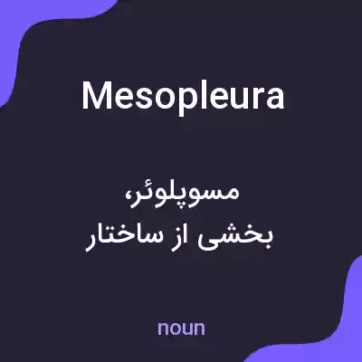 معنی mesopleura به فارسی معنی mesopleura به فارسی