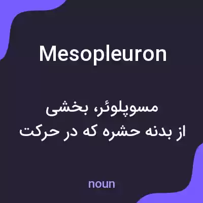 معنی mesopleuron به فارسی معنی mesopleuron به فارسی