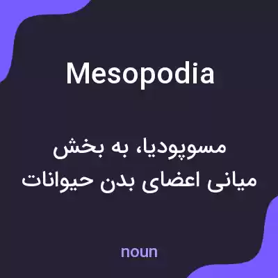 معنی mesopodia به فارسی معنی mesopodia به فارسی